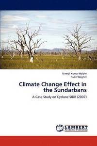 bokomslag Climate Change Effect in the Sundarbans