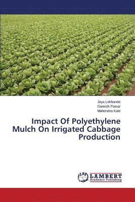 Impact Of Polyethylene Mulch On Irrigated Cabbage Production 1