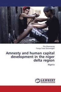 bokomslag Amnesty and Human Capital Development in the Niger Delta Region