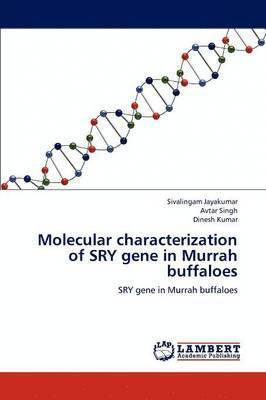 Molecular characterization of SRY gene in Murrah buffaloes 1