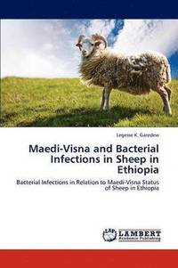bokomslag Maedi-Visna and Bacterial Infections in Sheep in Ethiopia