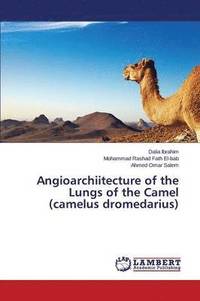 bokomslag Angioarchiitecture of the Lungs of the Camel (Camelus Dromedarius)