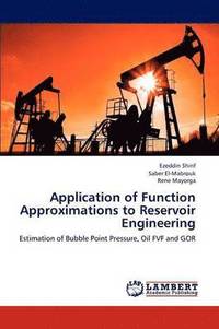 bokomslag Application of Function Approximations to Reservoir Engineering