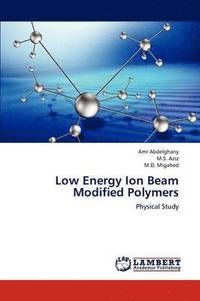 bokomslag Low Energy Ion Beam Modified Polymers