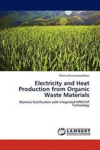 bokomslag Electricity and Heat Production from Organic Waste Materials