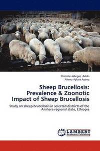 bokomslag Sheep Brucellosis