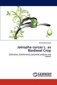 bokomslag Jatropha curcas L. as Biodiesel Crop