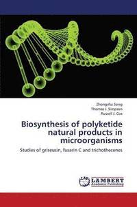 bokomslag Biosynthesis of Polyketide Natural Products in Microorganisms
