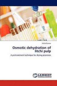 bokomslag Osmotic Dehydration of Litchi Pulp