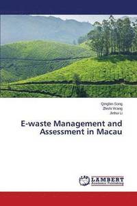 bokomslag E-Waste Management and Assessment in Macau