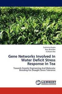 bokomslag Gene Networks Involved in Water Deficit Stress Response in Tea