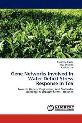 Gene Networks Involved in Water Deficit Stress Response in Tea 1