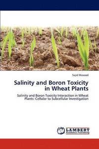 bokomslag Salinity and Boron Toxicity in Wheat Plants