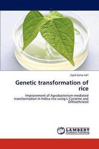 bokomslag Genetic Transformation of Rice