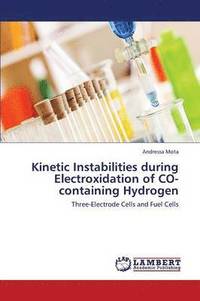 bokomslag Kinetic Instabilities during Electroxidation of CO-containing Hydrogen