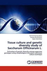 bokomslag Tissue culture and genetic diversity study of Saccharum Officinarum L.