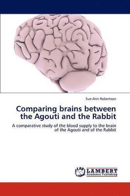 Comparing Brains Between the Agouti and the Rabbit 1