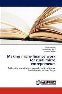 bokomslag Making Micro-Finance Work for Rural Micro Entrepreneurs
