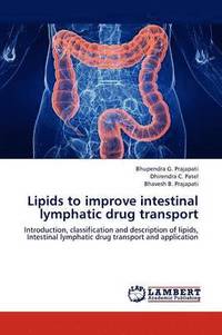 bokomslag Lipids to improve intestinal lymphatic drug transport