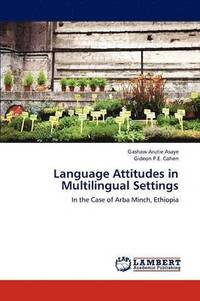 bokomslag Language Attitudes in Multilingual Settings