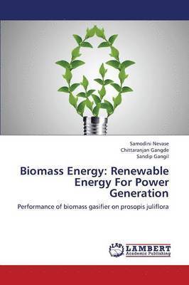 bokomslag Biomass Energy