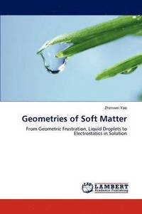 bokomslag Geometries of Soft Matter