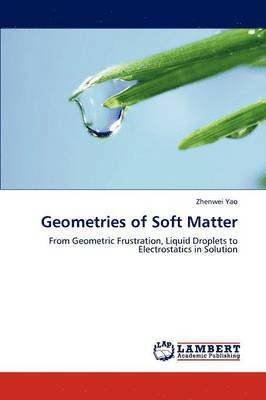 Geometries of Soft Matter 1