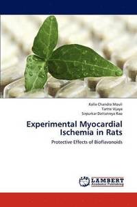 bokomslag Experimental Myocardial Ischemia in Rats