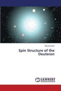 bokomslag Spin Structure of the Deuteron