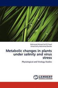bokomslag Metabolic Changes in Plants Under Salinity and Virus Stress