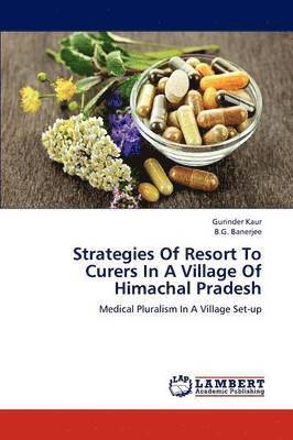 Strategies Of Resort To Curers In A Village Of Himachal Pradesh 1