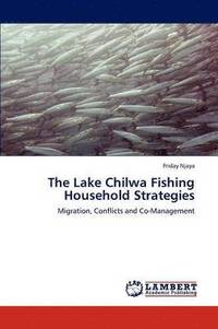 bokomslag The Lake Chilwa Fishing Household Strategies