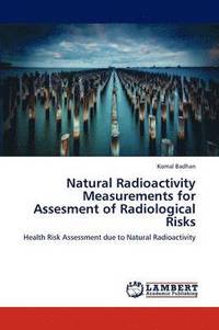 bokomslag Natural Radioactivity Measurements for Assesment of Radiological Risks