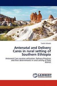 bokomslag Antenatal and Delivery Cares in Rural Setting of Southern Ethiopia