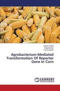 bokomslag Agrobacterium-Mediated Transformation of Reporter Gene in Corn