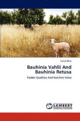 Bauhinia Vahlii And Bauhinia Retusa 1