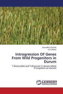 bokomslag Introgression of Genes from Wild Progenitors in Durum