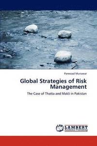bokomslag Global Strategies of Risk Management