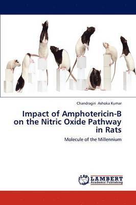Impact of Amphotericin-B on the Nitric Oxide Pathway in Rats 1