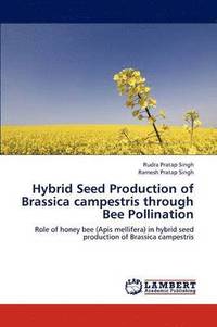 bokomslag Hybrid Seed Production of Brassica campestris through Bee Pollination