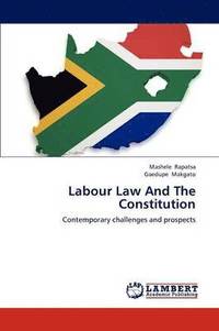 bokomslag Labour Law and the Constitution