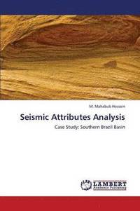 bokomslag Seismic Attributes Analysis