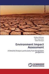bokomslag Environment Impact Assessment