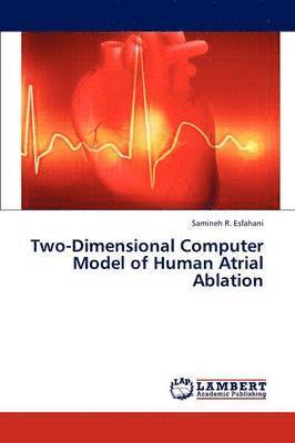 bokomslag Two-Dimensional Computer Model of Human Atrial Ablation