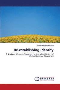 bokomslag Re-Establishing Identity