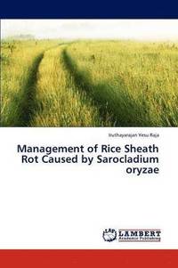 bokomslag Management of Rice Sheath Rot Caused by Sarocladium oryzae