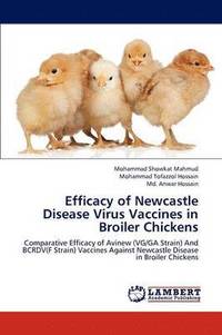 bokomslag Efficacy of Newcastle Disease Virus Vaccines in Broiler Chickens