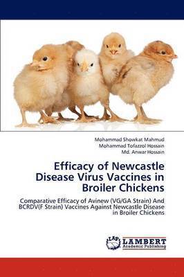 Efficacy of Newcastle Disease Virus Vaccines in Broiler Chickens 1