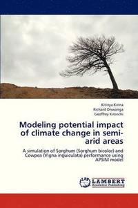 bokomslag Modeling Potential Impact of Climate Change in Semi-Arid Areas