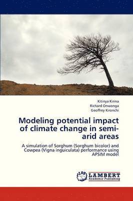bokomslag Modeling Potential Impact of Climate Change in Semi-Arid Areas